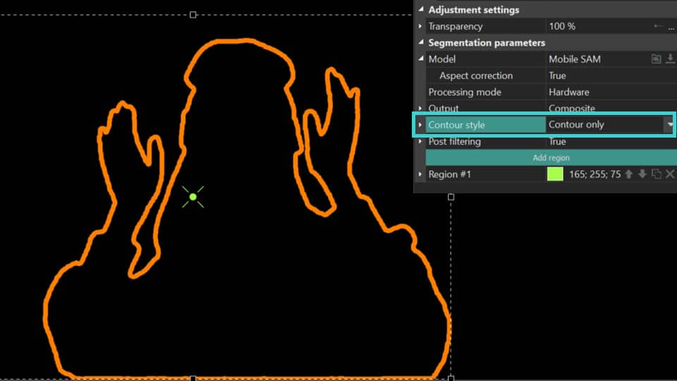 Viewing only the contour of the segmentation object.